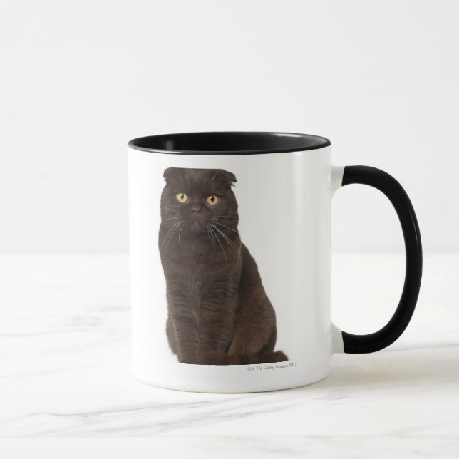 Mug Séance de pli d'écossais (18 mois) (Droite)
