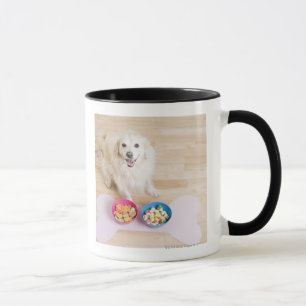 Mug séance métisse devant deux cuvettes avec le chie