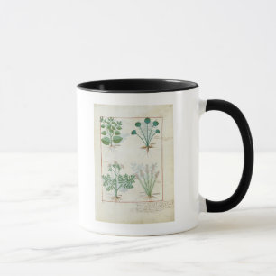 Mug Sel Bush et absinthe et cardamome d'Anthora