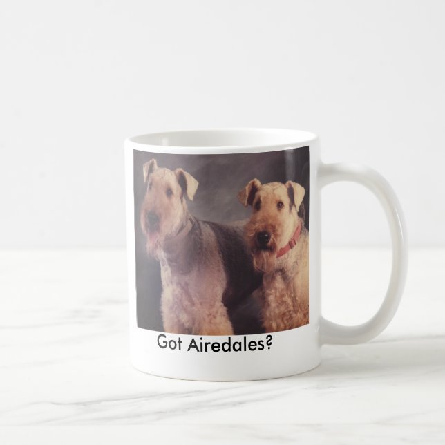 Mug Sel et Ritz, obtenus des Airedales ? (Droite)