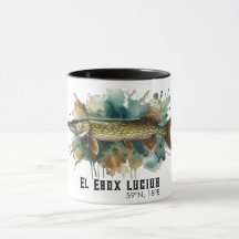 Série Aquarelle : Brochet