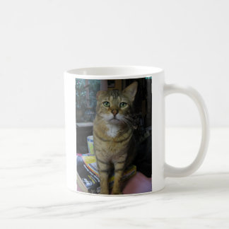 Mug sériole