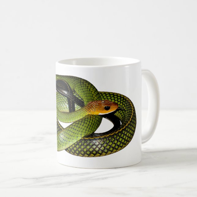 Mug Serpent de rat vert de Bush (Devant droit)