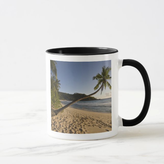 Mug Seychelles, île de Mahe, plage d'Anse Takamaka, (Droite)
