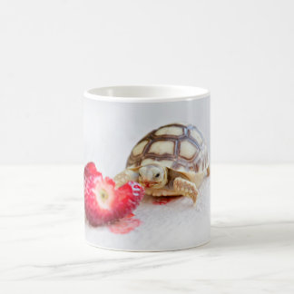 Mug Sheldon la tortue