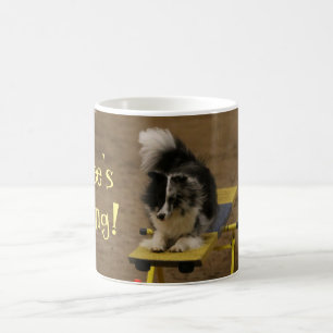 Mug Sheltie accrochant sur une bascule d'agilité