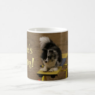 Mug Sheltie accrochant sur une bascule d'agilité