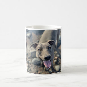Mug - Smiling Blue Whippet