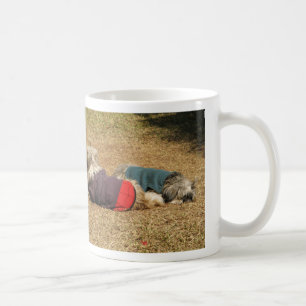 Mug Snoozing à Nong Khai