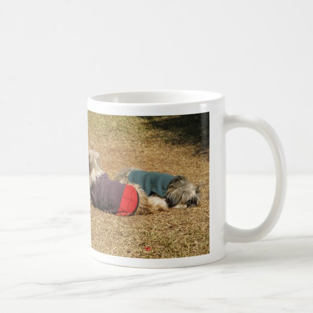 Mug Snoozing à Nong Khai (Droite)