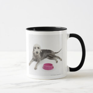 Mug Soin des animaux familiers, santé et nutrition