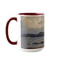 Solo volant au phare de Nubble