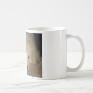 Mug Sommeil Pyr