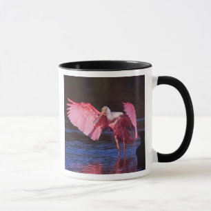 Mug Spatule rosée (Ajaia ajaja) avec Cormoran