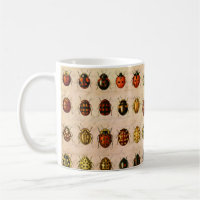 Spécimen de coccinelle vintage Motif Insecte antiq