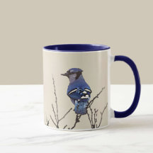 Spring Blue Jay Fine Art pour les amateurs d'oisea