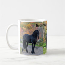 Stallions de Brookside Friesians LLC
