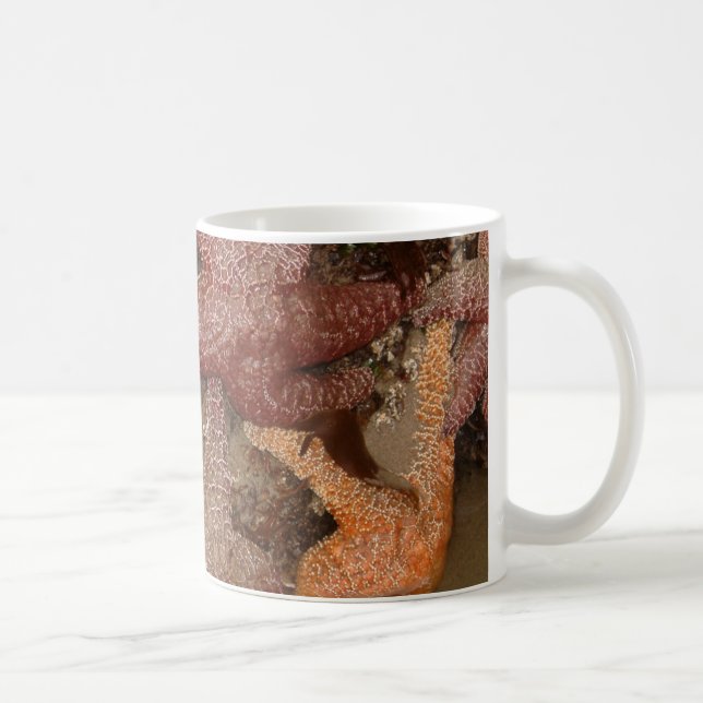 Mug Starfish/Sea Stars à Cannon Beach, OU, Photo 4 (Droite)
