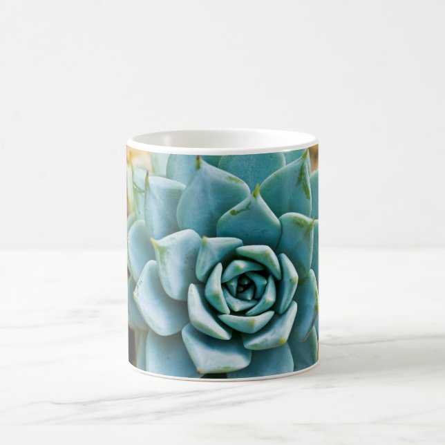 Mug Succulent (Centre)