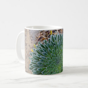 Mug Succulent plante du désert