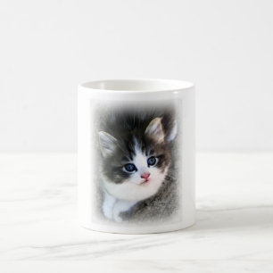 Mug SUPER CUTE Kitten Portrait Photographie
