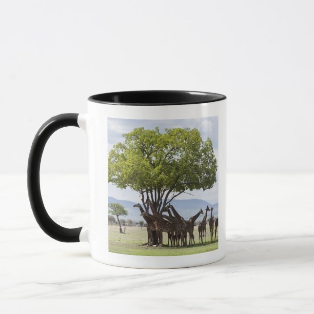 Mug Sur le safari en parc national de Mikumi en (Gauche)