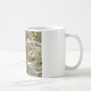 Mug Sweet Chipmunk Hot Springs National Park Cadfts