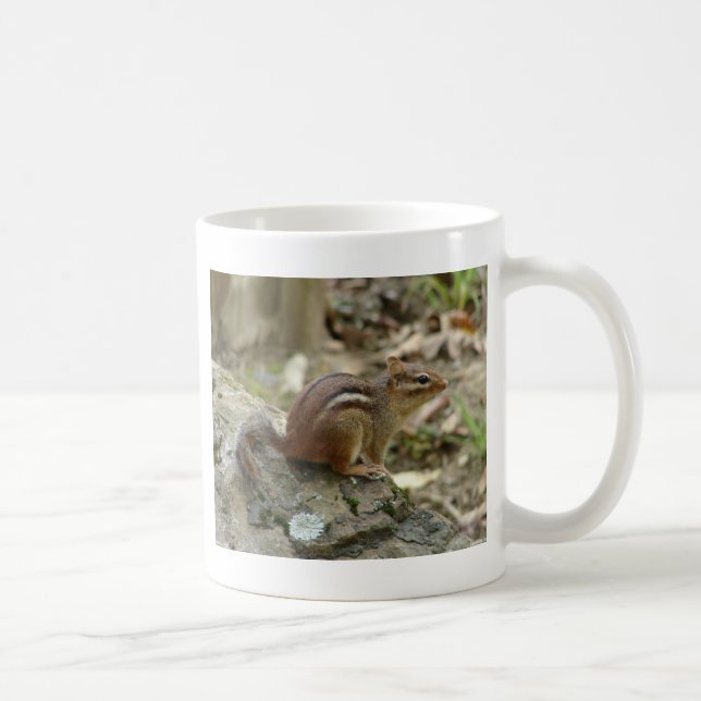 Mug Sweet Chipmunk Hot Springs National Park Cadfts (Droite)