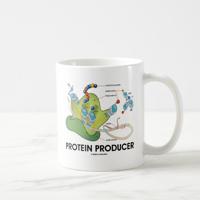Mug Synthèse de la protéine de biologie des producteur (Droite)