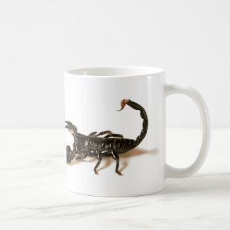Mug Tasse/tasse de scorpion d'empereur