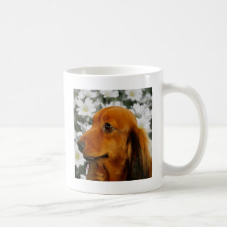 Mug Teckel mignon (aux cheveux longs Brown) en fleurs