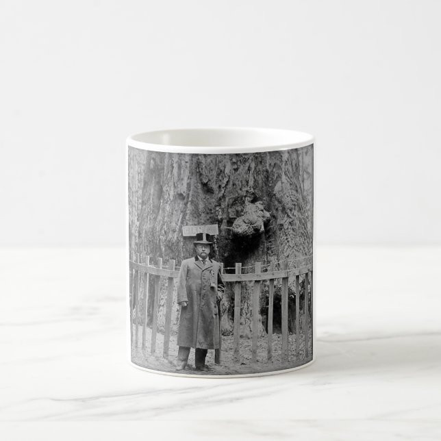 Mug Teddy Roosevelt au grand verger Santa Cruz d'arbre (Centre)