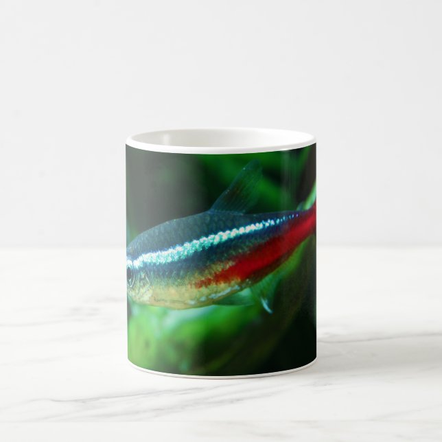 Mug Tétra Paracheirodon au néon Innesi de poissons (Centre)
