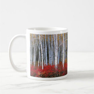 Mug The Birches Classic