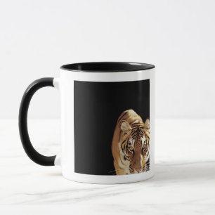 Mug Tigre (Panthera le Tigre)
