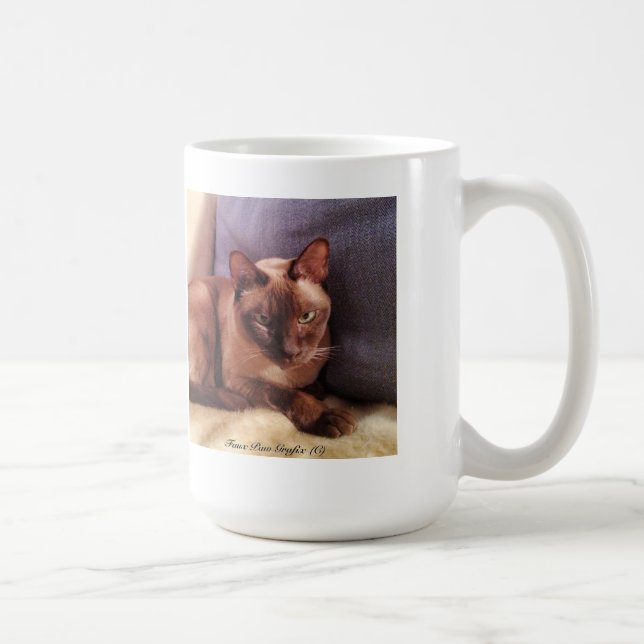 Mug Tonkinese, regard fixe intense (Droite)