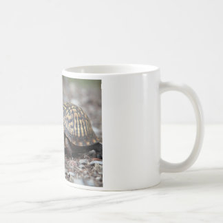Mug Tortue