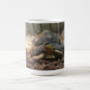 Mug Tortue de terre