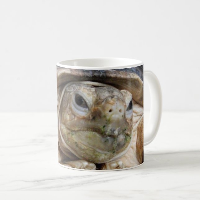 Mug Tortue purée africaine, visage de Sulcata Tortoise (Devant droit)