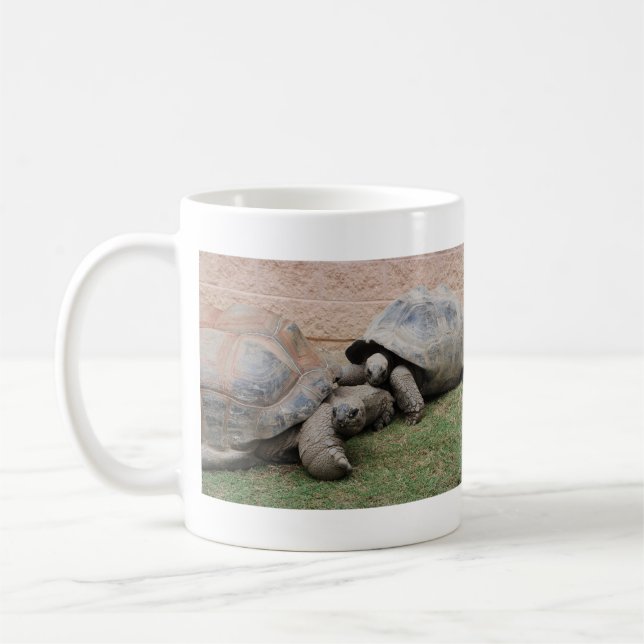 Mug tortues géantes (Gauche)