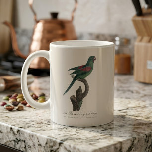Mug Touï à gorge orange, Brotogeris jugularis