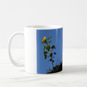 Mug Tournesol sur le toit.