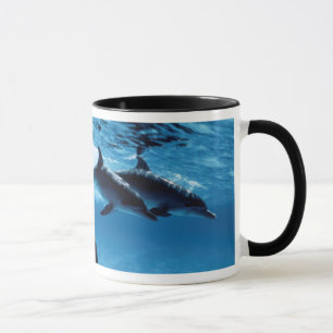 Mug Trio de dauphins