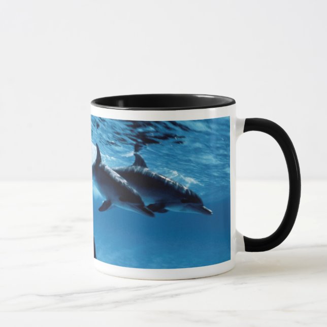 Mug Trio de Dolphins (Droite)