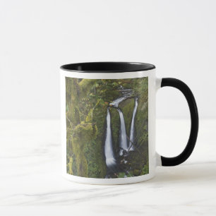 Mug Triple Falls, gorge du Columbia