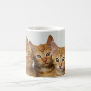 Mug Trois chatons mignons de gingembre côte à côte