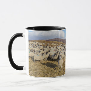 Mug Troupeau écossais de moutons à visage noir