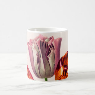 Mug Tulip vintage illustré