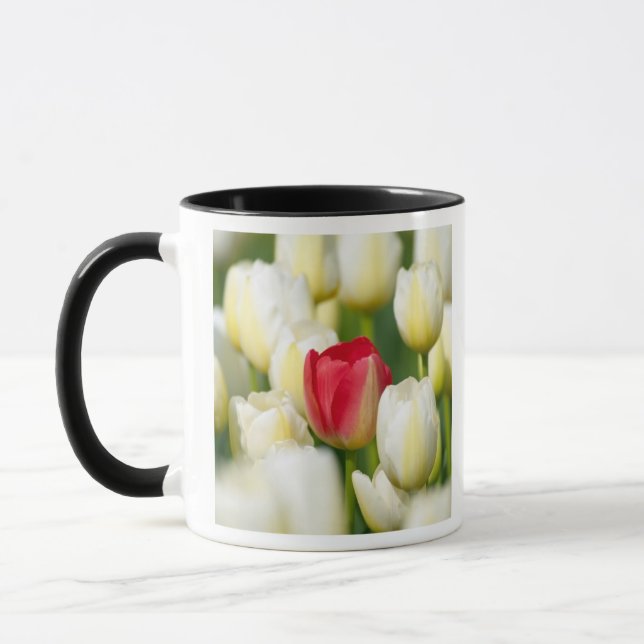 Mug Tulipe rouge dans un domaine des tulipes blanches (Gauche)