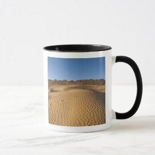 Mug Tunisie, Région des Ksour, Ksar Ghilane, Grand Erg